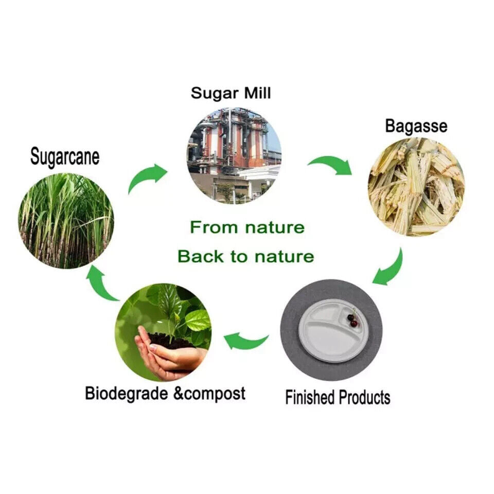 Bagasse Disposable Compartment Plates Biodegradable Paper Plates Eco Friendly UK