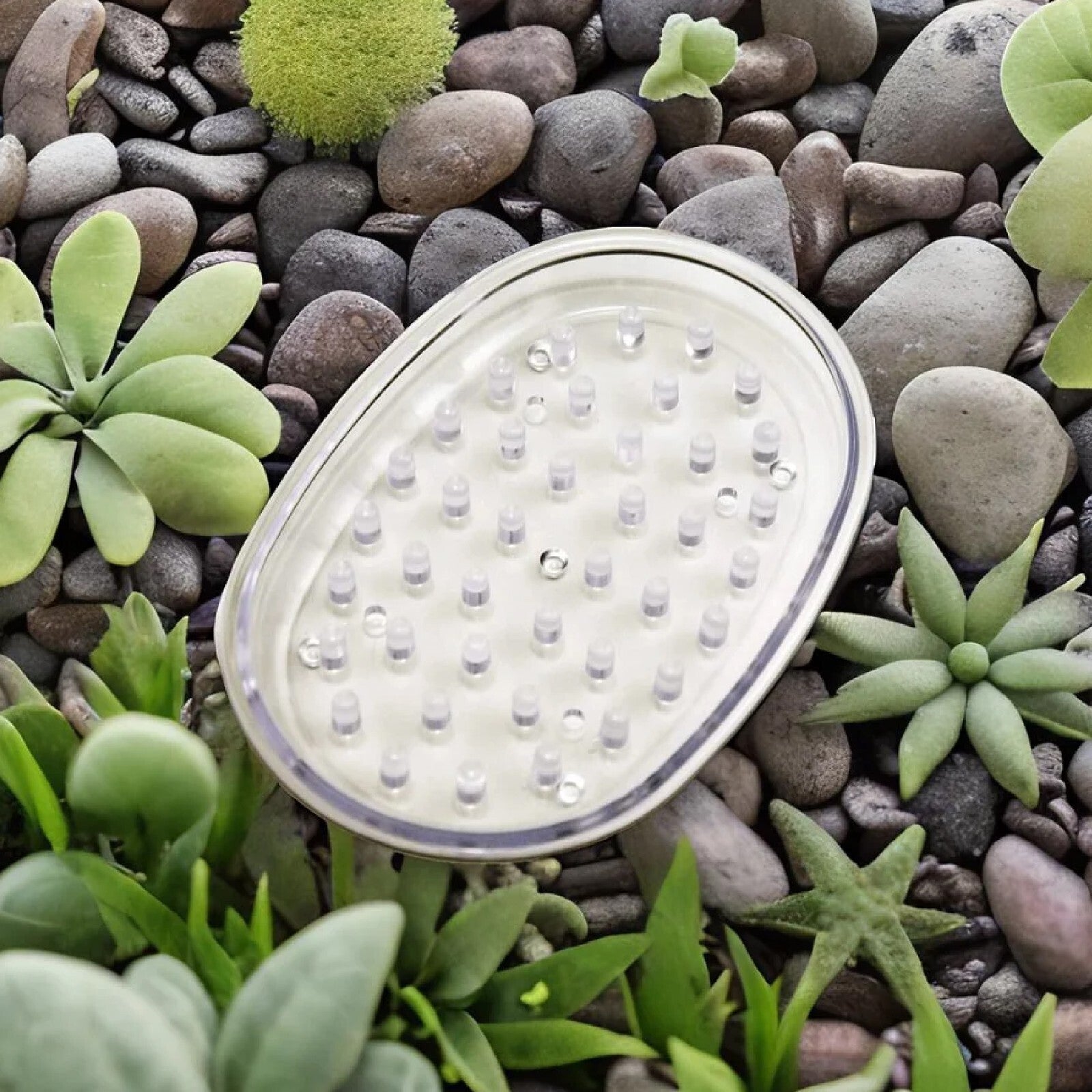 Clear Plastic Soap Holder Dish Drip Tray-Raised Ridges Allow Soap to Tray