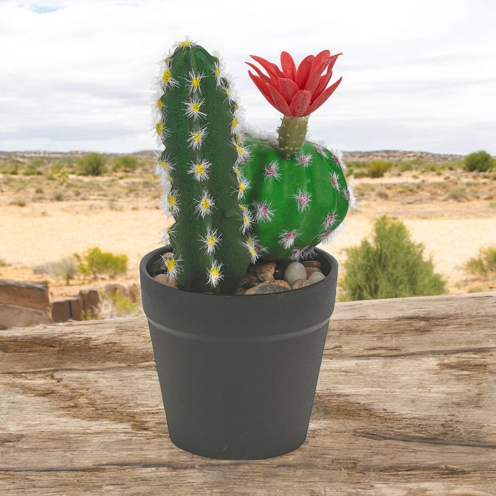 Artificial Cactus in Pot 25Cm Faux House Plant Fake Tropical Succulent Plants