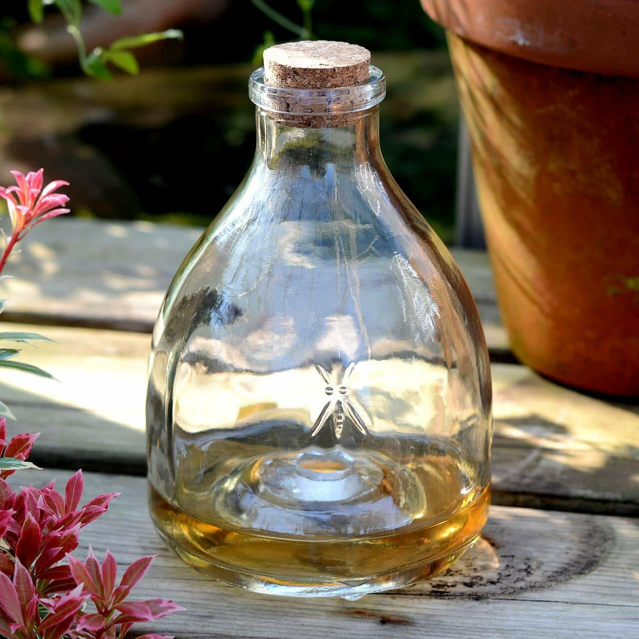 Glass Wasp Trap Large Hanging Honey Pot Outdoor & Fly Catcher for Flies Insects