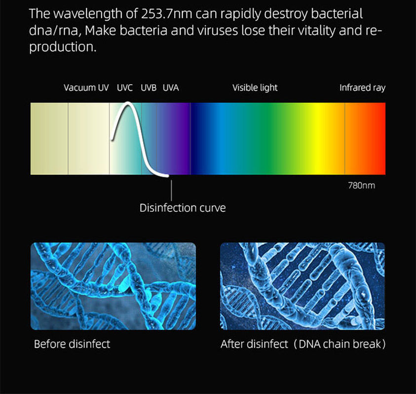 Caredite 2023 Toothbrush Sterilizer Holder with New Multi Colors, Fast Drying Professional Home Toothbrush Sterilizer Protect Your Family Oral Health Bathroom Wall-Mounted Adjustable