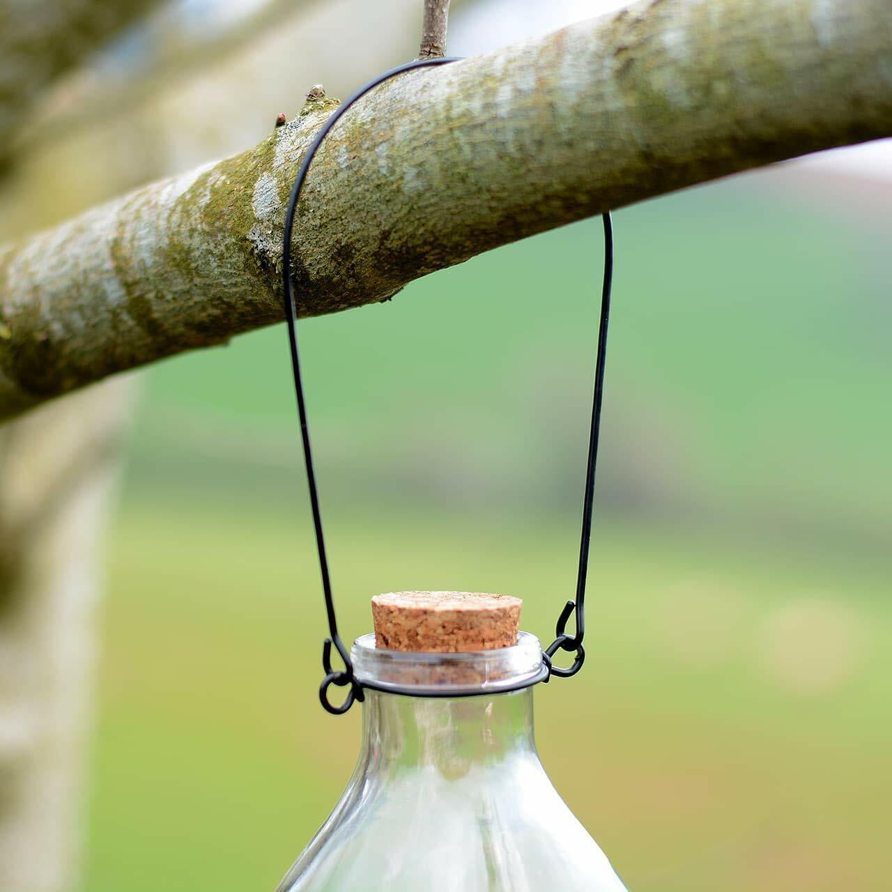 Glass Wasp Trap Large Hanging Honey Pot Outdoor & Fly Catcher for Flies Insects