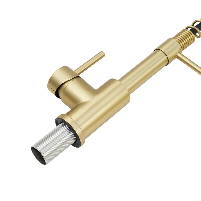 Aajah Pull down Kitchen Faucet