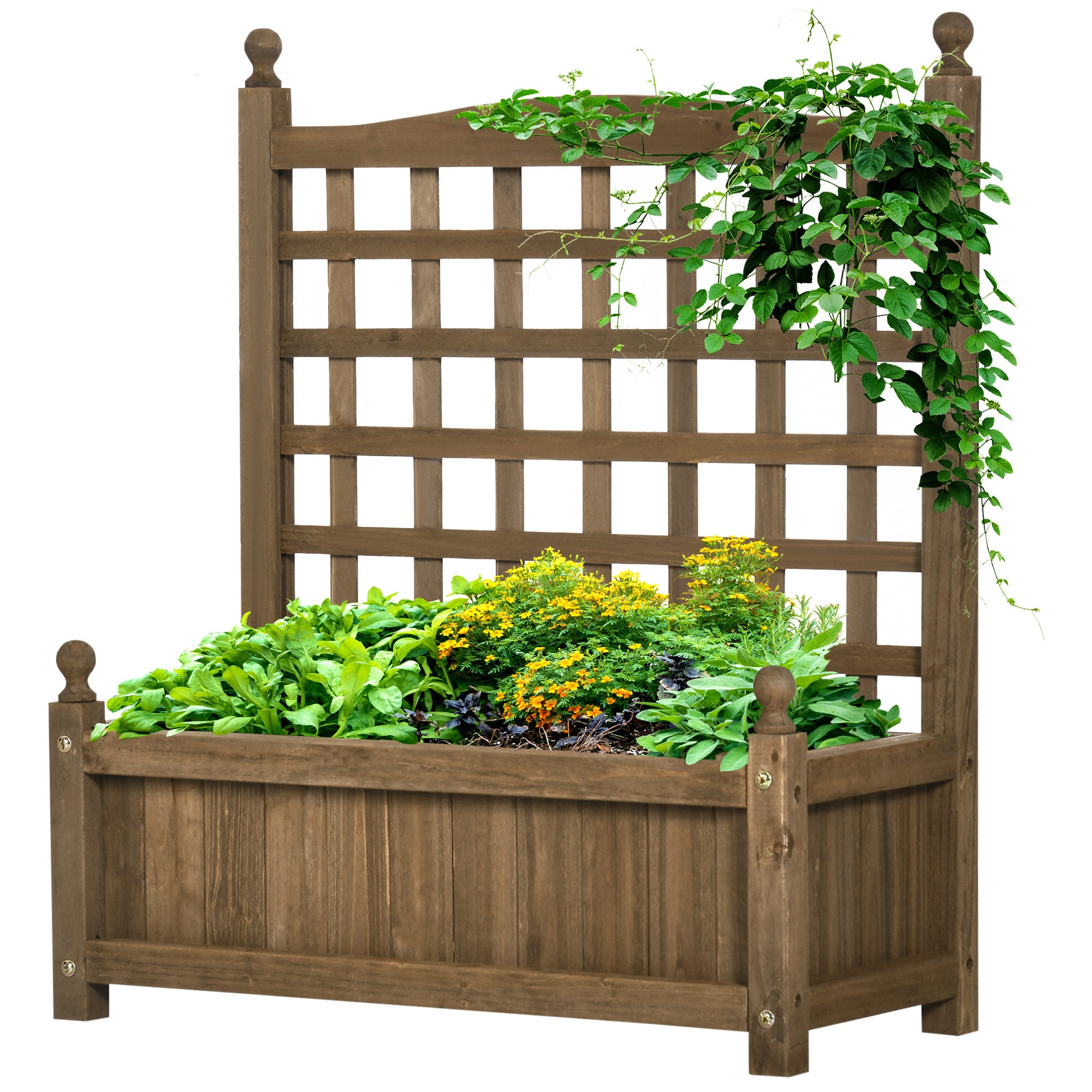 Garden Planters with Trellis for Climbing Vines Indoor Outdoor