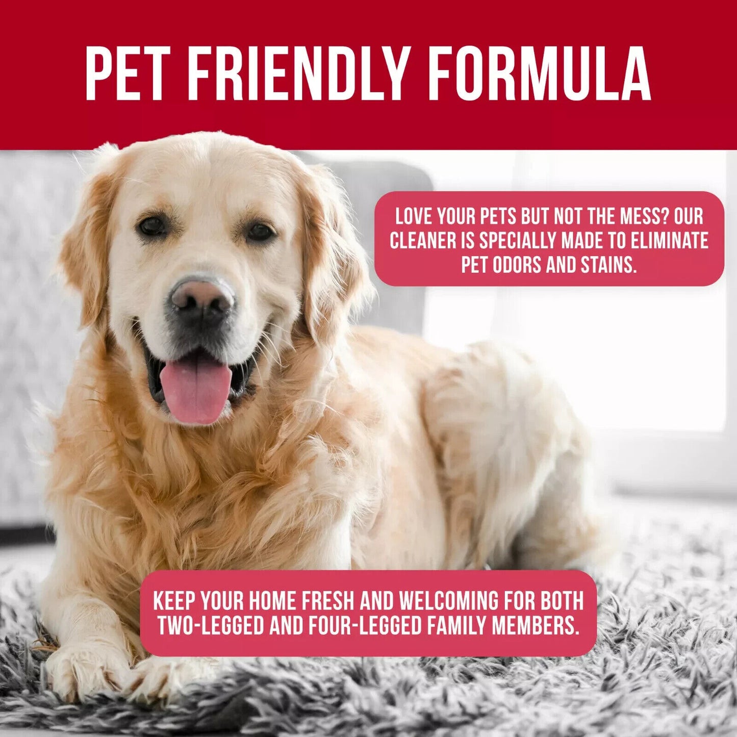 CARPET SHAMPOO CLEANER CLEANING DETERGENT 5L ODOUR PET DEODORISER VAX FLORAL