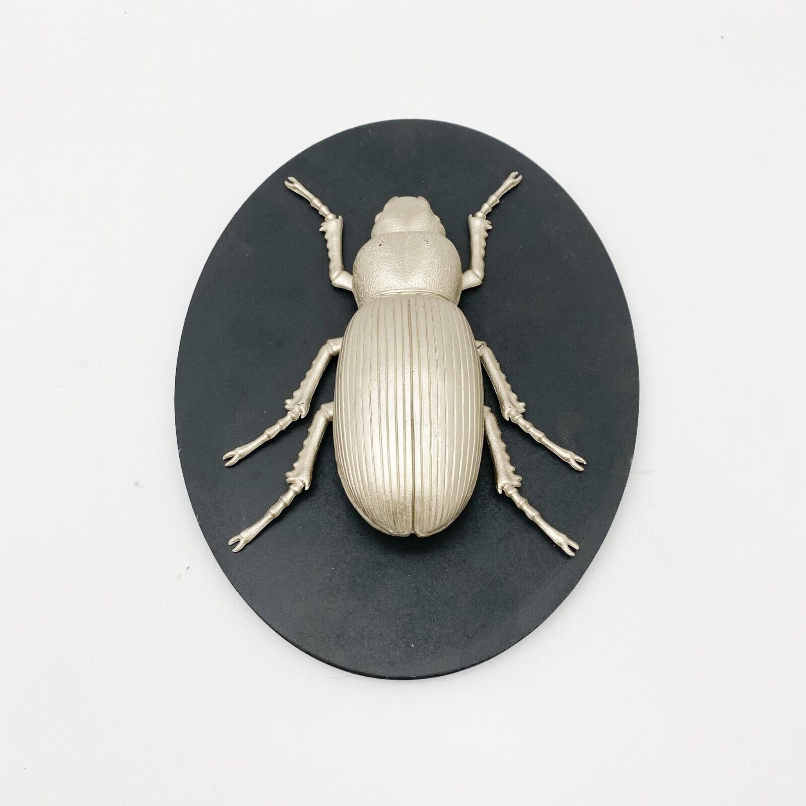 Insect Wall Decor on Wood Board – Nature-Inspire