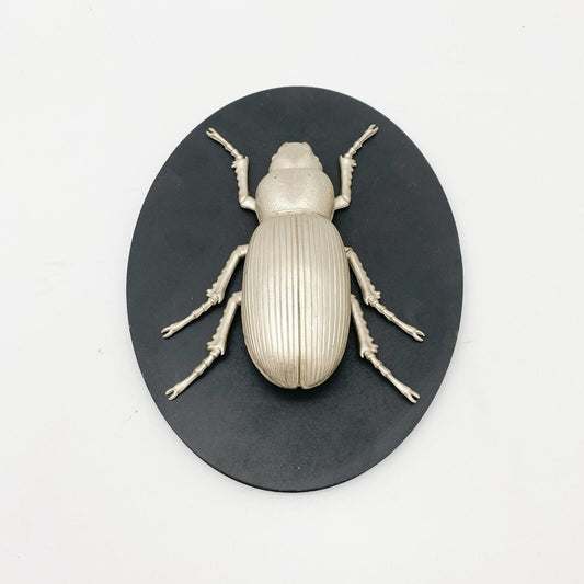 Insect Wall Decor on Wood Board – Nature-Inspire