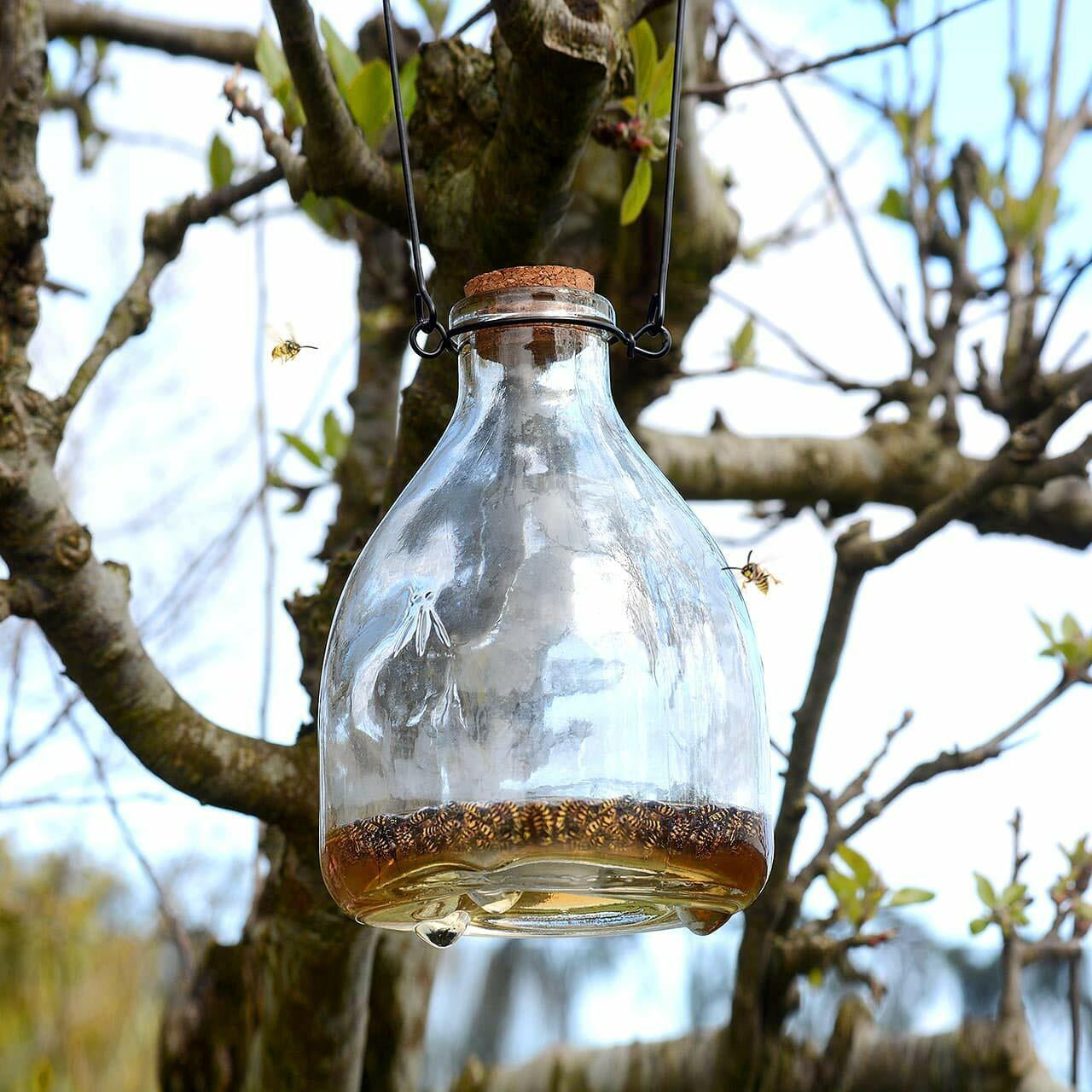 Glass Wasp Trap Large Hanging Honey Pot Outdoor & Fly Catcher for Flies Insects