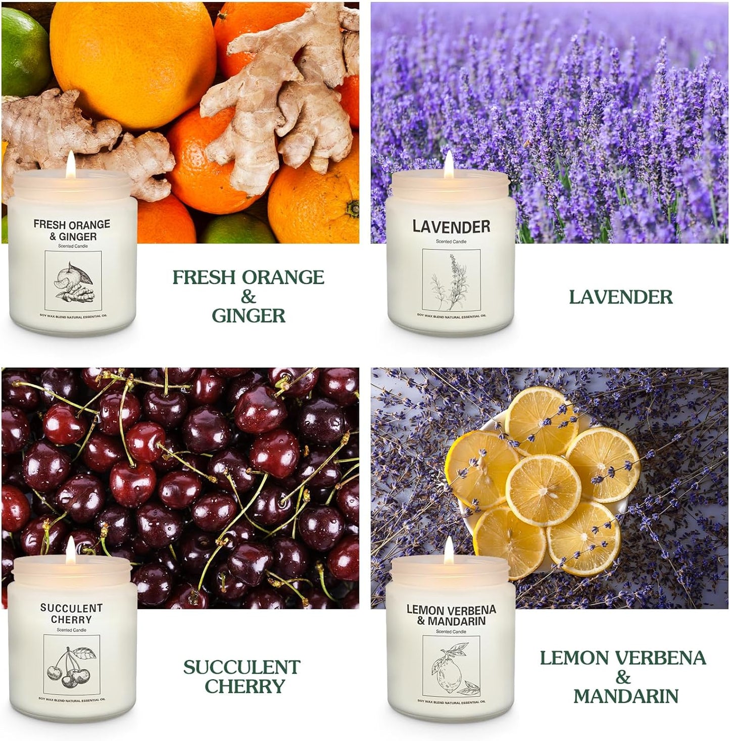 Candles | Candles for Home Scented | 2 Pack 7.1Oz Natural Soy Wax Aromatherapy Candles | over 120 Hours of Burn Time | Christmas Scented Candles Gifts Sets for Women | Apple Cinnamon Candles