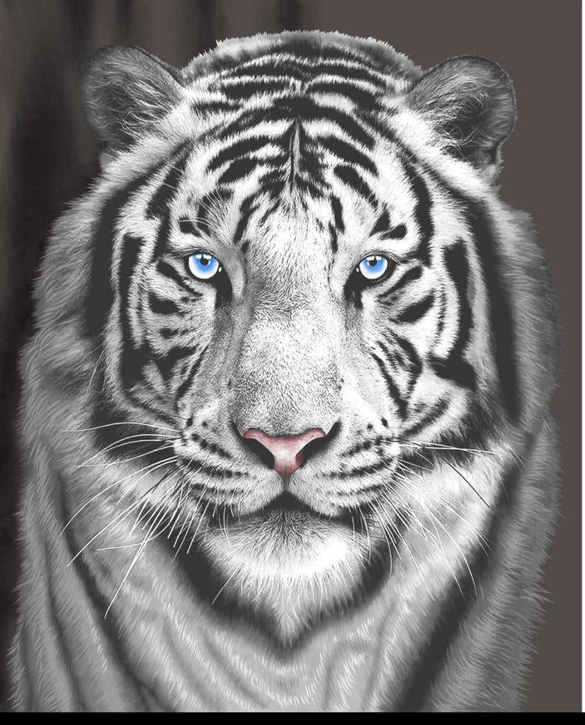 Large Fleece Blanket Throw Reversible Soft Warm Bed Sofa Blanket Double & King