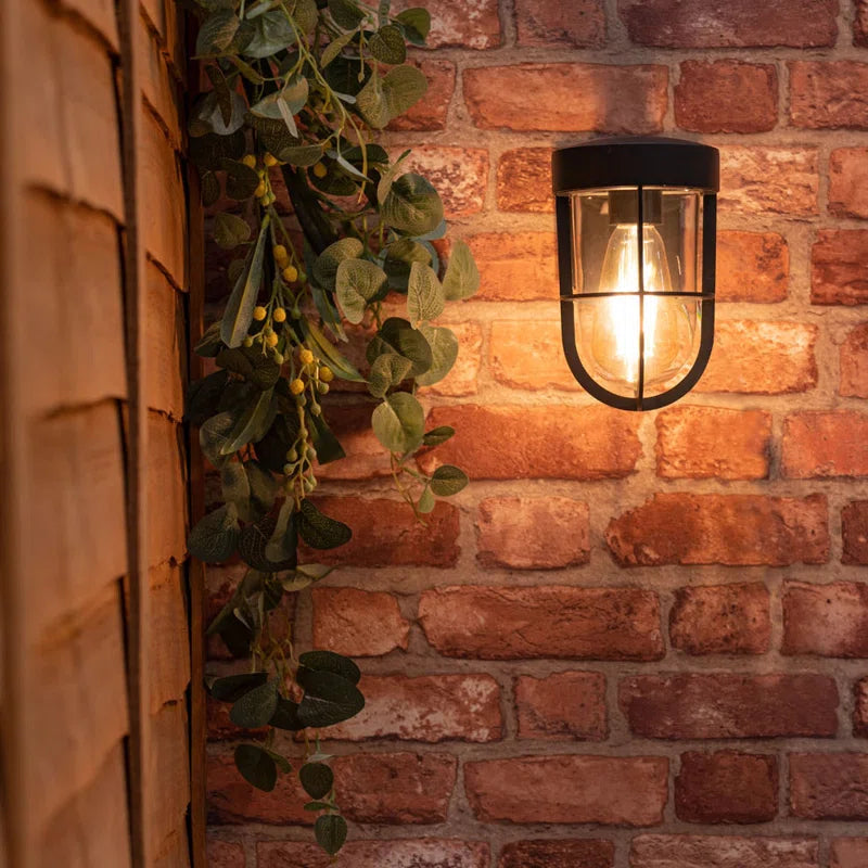 Aguilera Outdoor Bulkhead Light