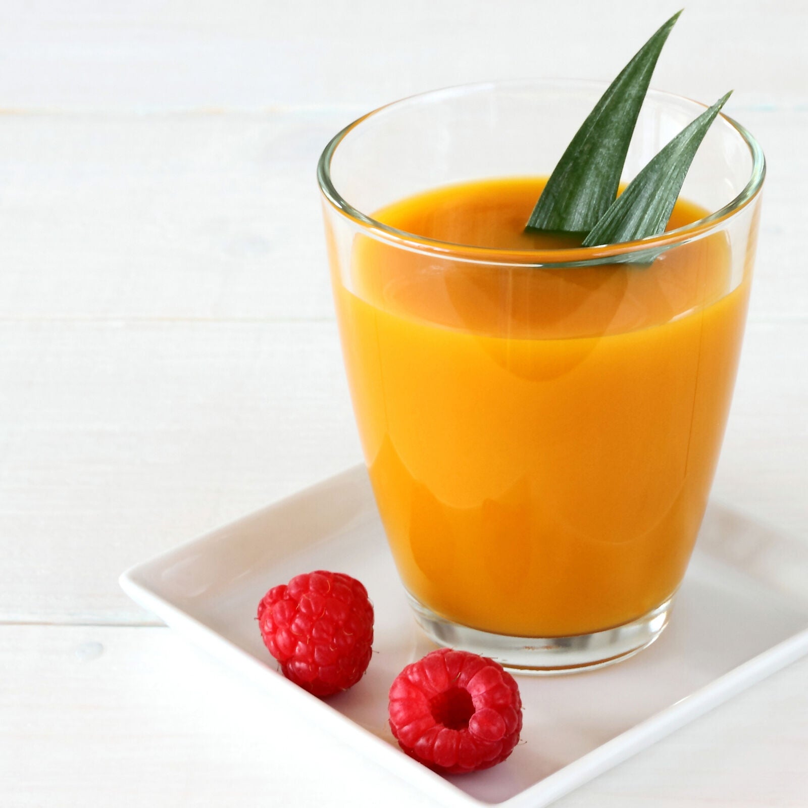 Progress Electric Hand Blender Shimmer Food Processor 300W Stainless Steel Blade