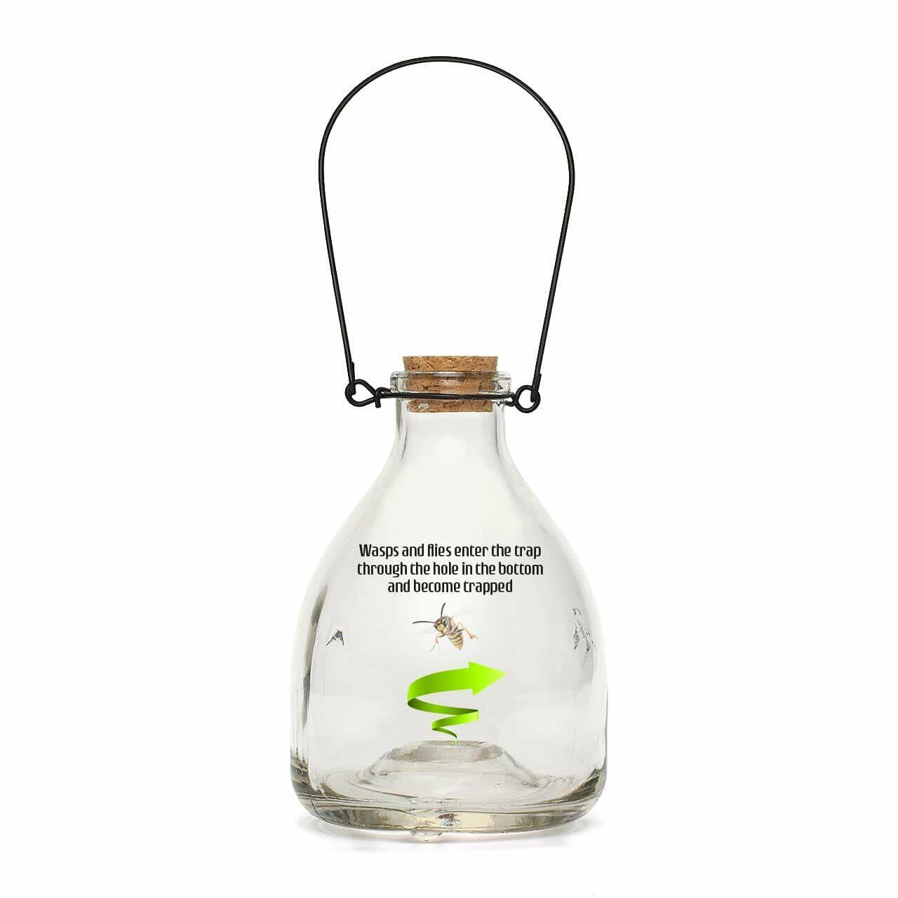 Glass Wasp Trap Large Hanging Honey Pot Outdoor & Fly Catcher for Flies Insects