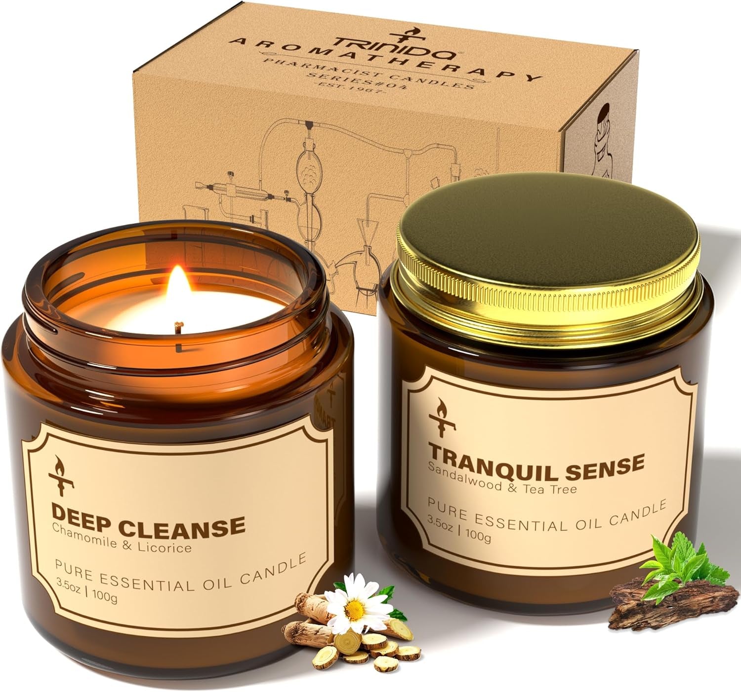 Scented Candles for Living Room, 2 Pack 3.5Oz Soy Wax Candles for Home Scented, Deep Cleanse & Tranquil Sense Aromatherapy Candle Gift Set, Relaxation Gifts for Women