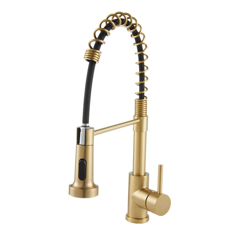 Aajah Pull down Kitchen Faucet