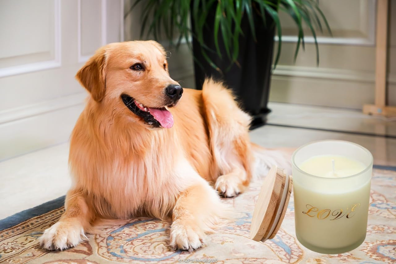 Candles,Vanilla+Gardenia,Scented Jar Candle-Aromatherapy Scented Candles,Long Lasting Soy Wax Candle,Candles for Home Scented,Essential Oils Candles,Body Relax&Stress Relief Candles