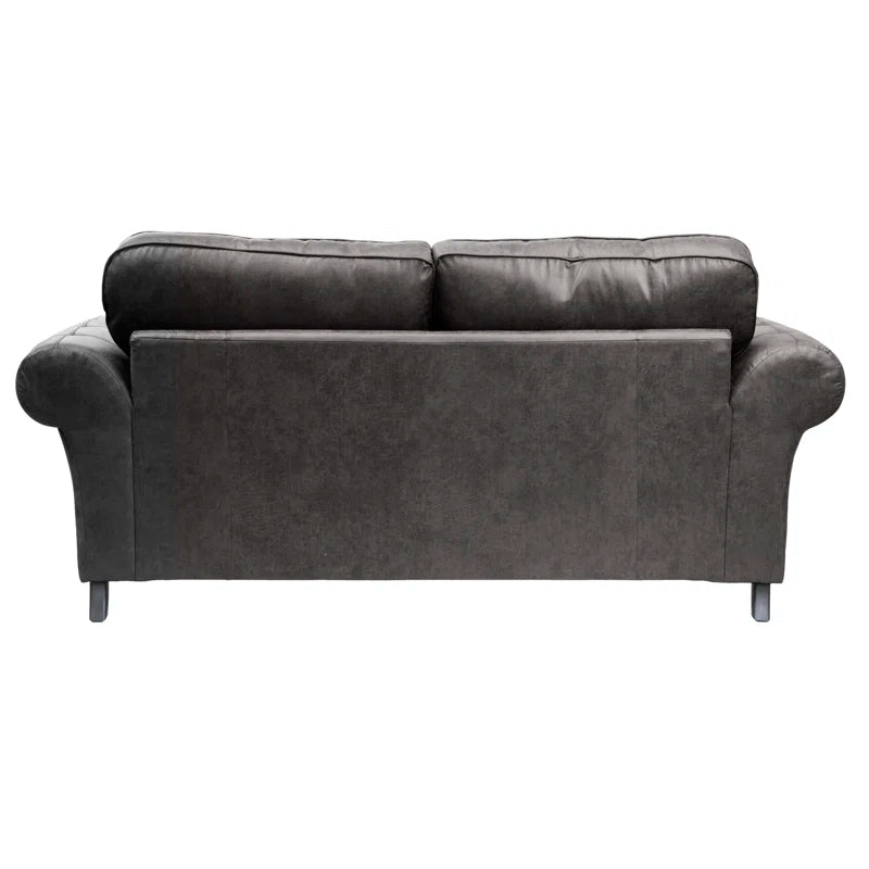 Bodnar 2 - Piece Faux Leather Living Room Set