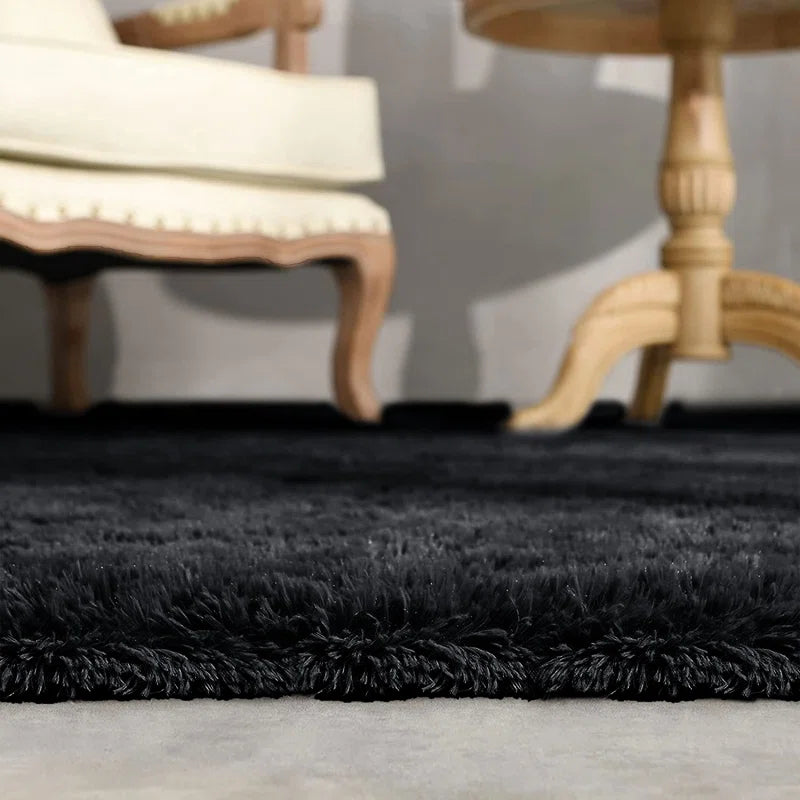 Akiyoshi Soft & Fluffy Living Room/Bedroom Shaggy Area Rugs