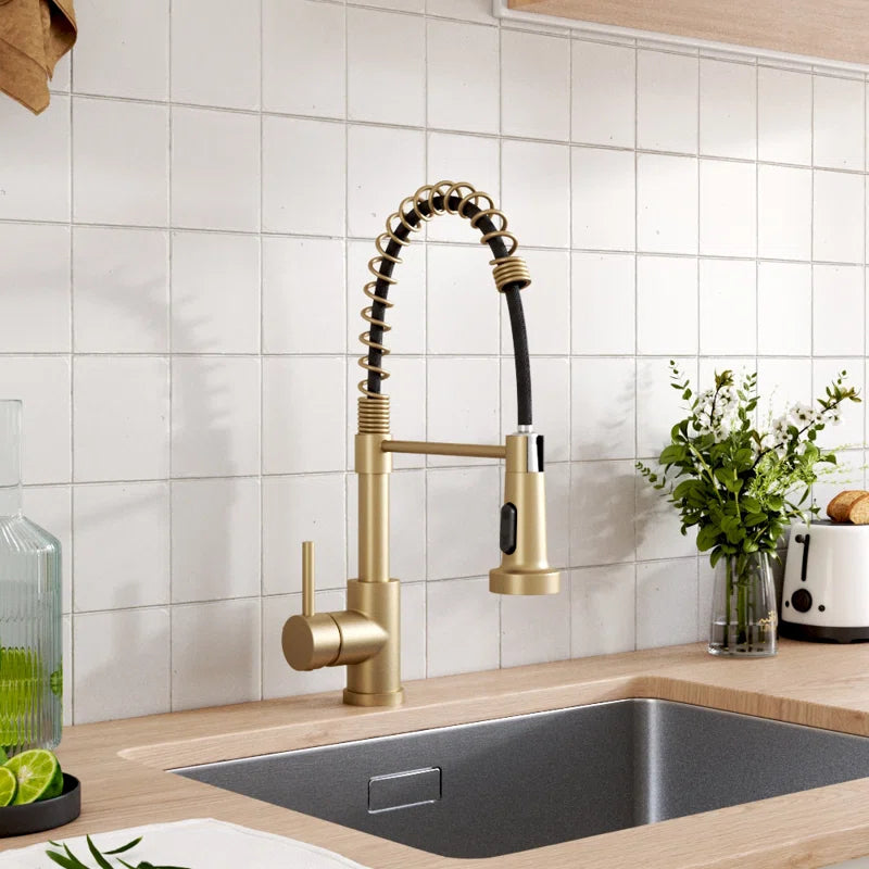 Aajah Pull down Kitchen Faucet