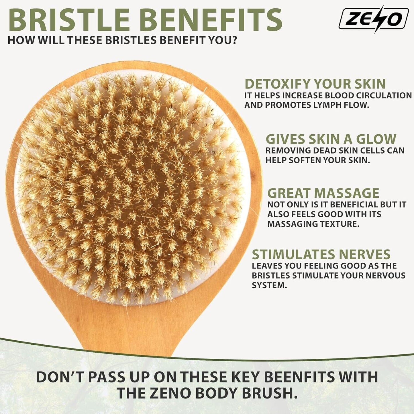 SHOWER BODY BRUSH BACK SCRUBBER with LONG HANDLE NATURAL BRISTLES EXFOLIATING