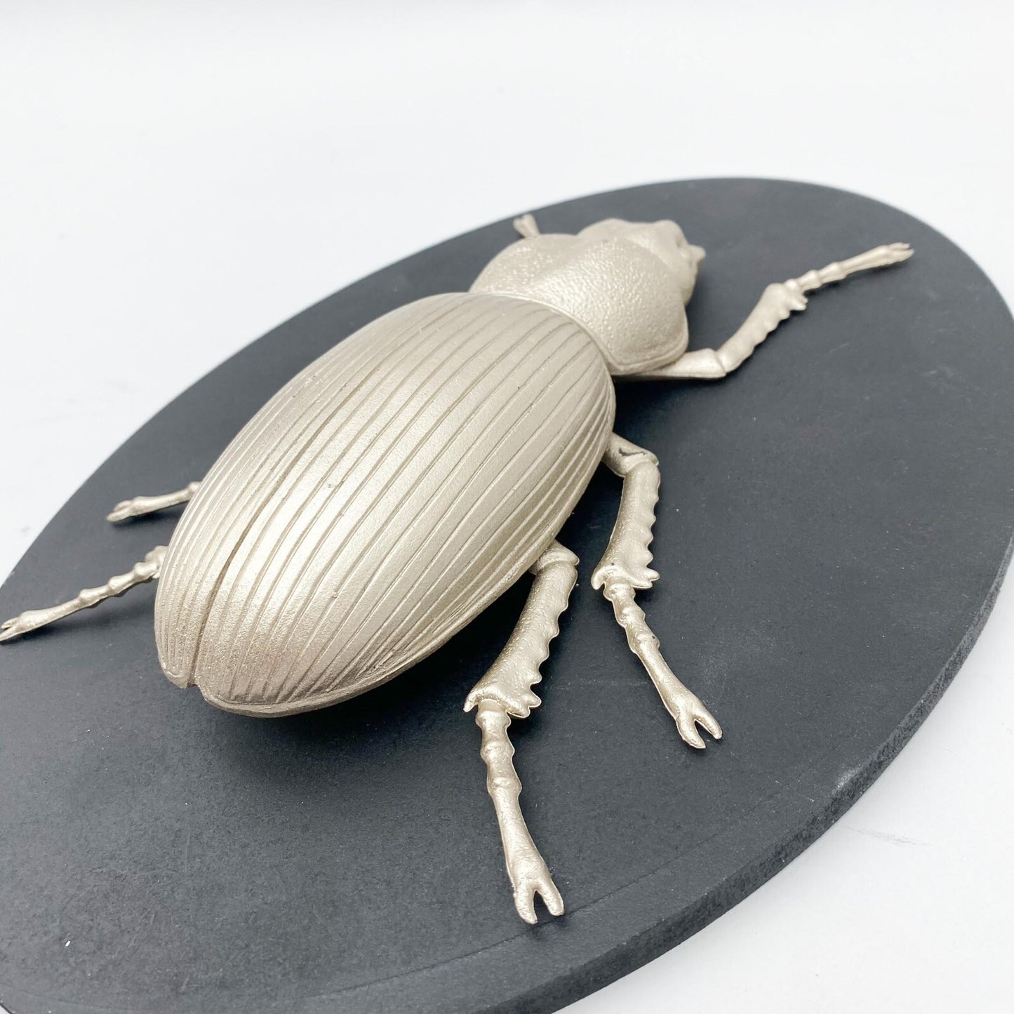 Insect Wall Decor on Wood Board – Nature-Inspire