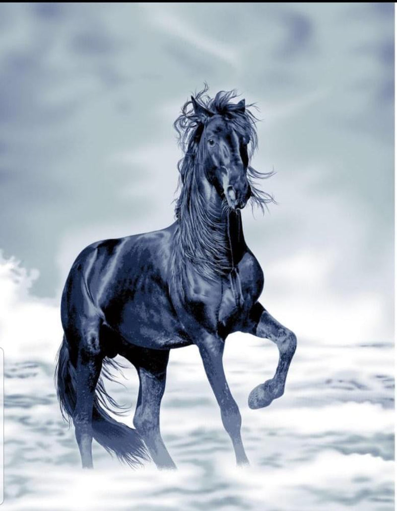 Large Fleece Blanket Throw Reversible Soft Warm Bed Sofa Blanket Double & King