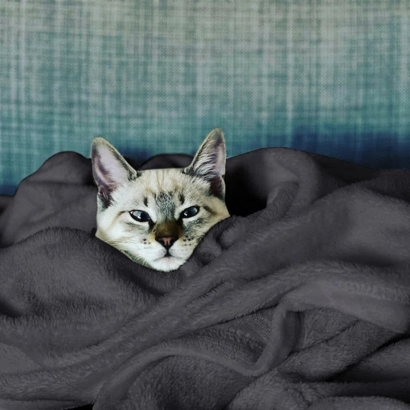 Carsonhill Reversible Mink Faux Fur Plush Fleece Throw/ Blanket