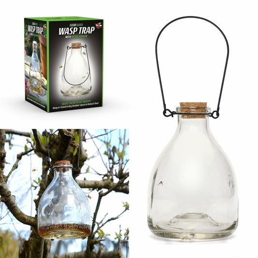 Glass Wasp Trap Large Hanging Honey Pot Outdoor & Fly Catcher for Flies Insects