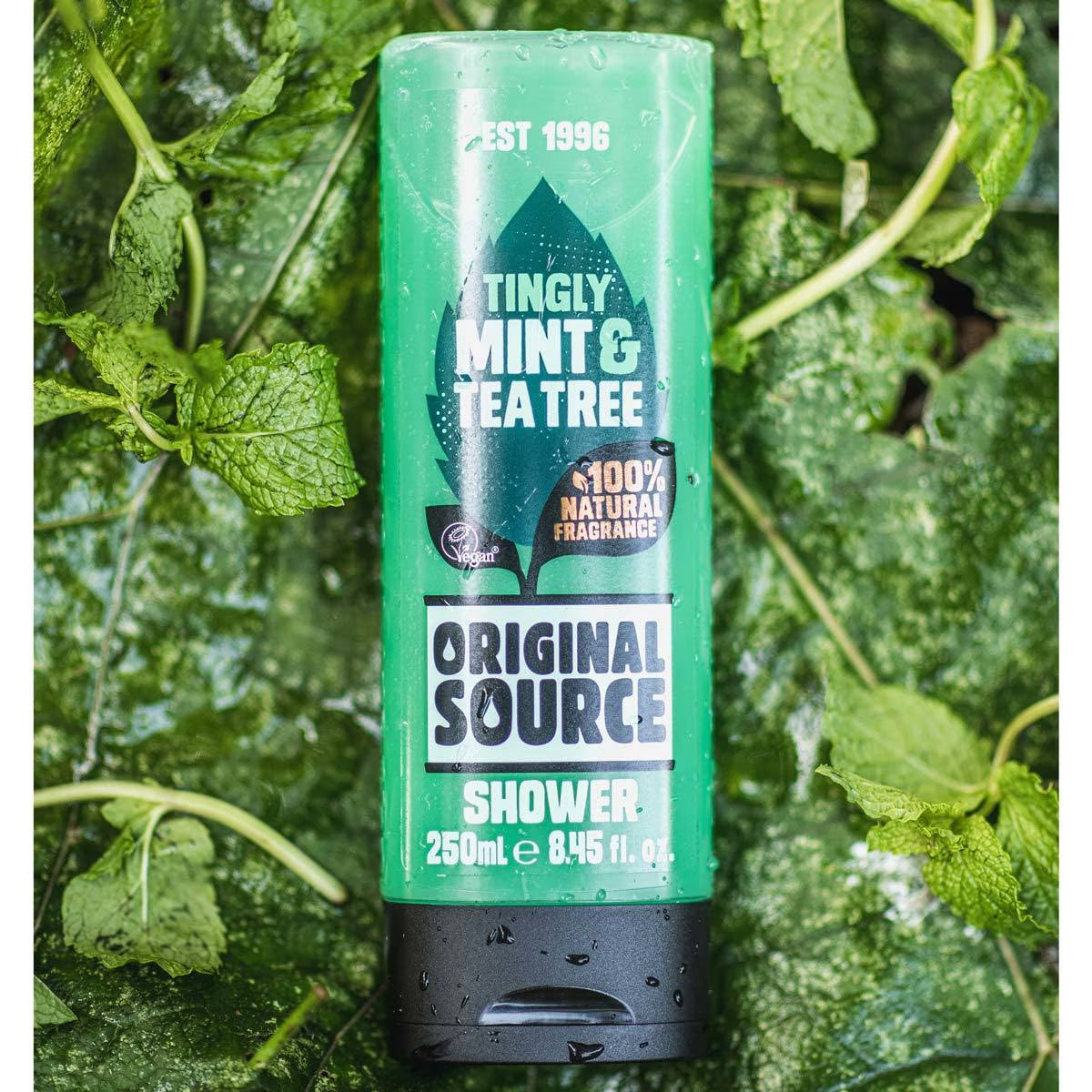 Mint & Tea Tree Shower Gel, 6 X 250Ml