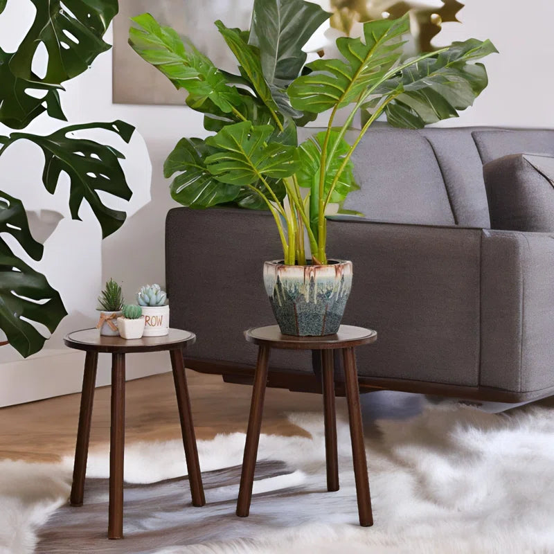 Nalanee Plant Stand 2-Piece Wooden Bamboo Outdoor Furniture Side End Tables Living Room
