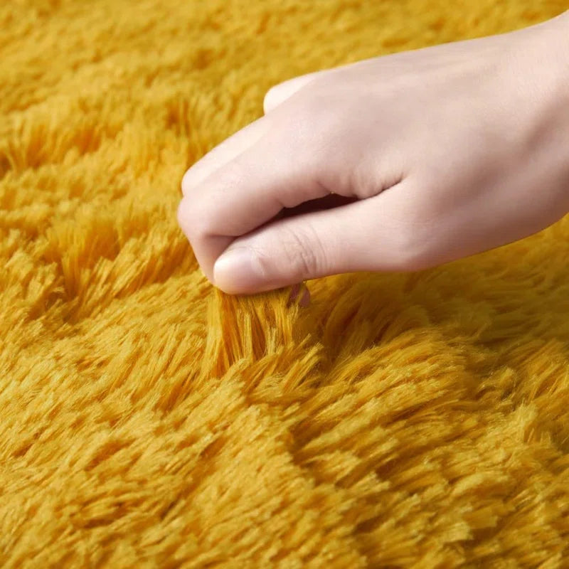Indoor/Outdoor Living Room Deep Pile Shaggy Area Rug