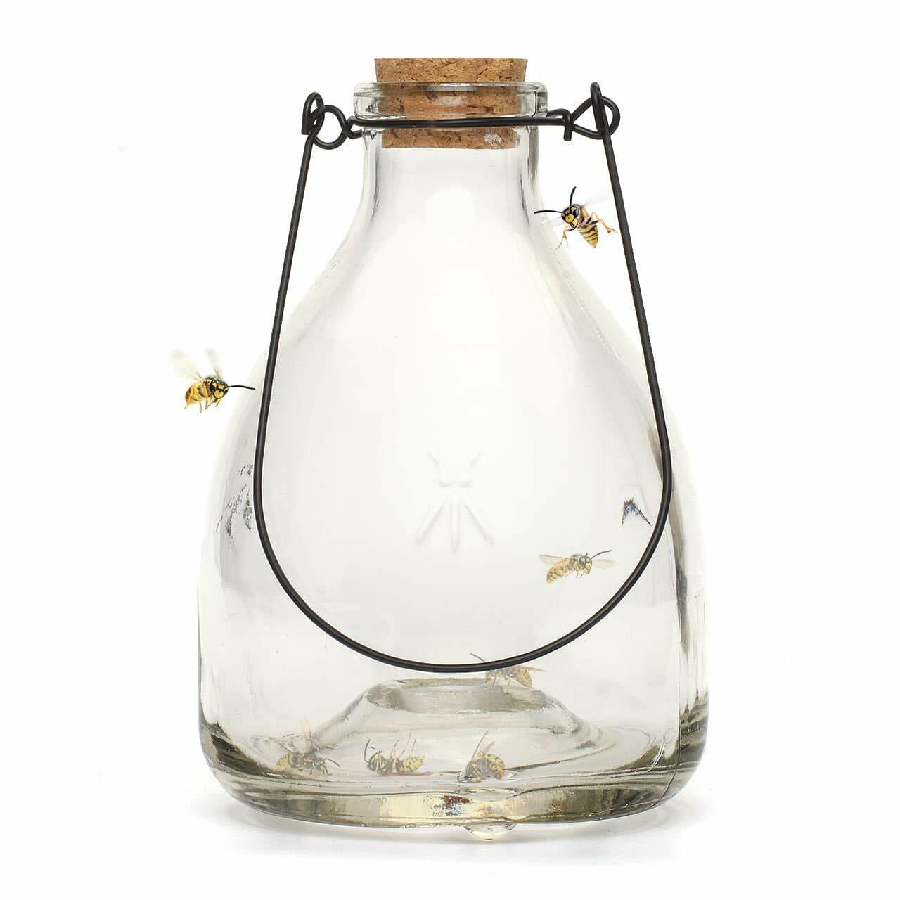 Glass Wasp Trap Large Hanging Honey Pot Outdoor & Fly Catcher for Flies Insects