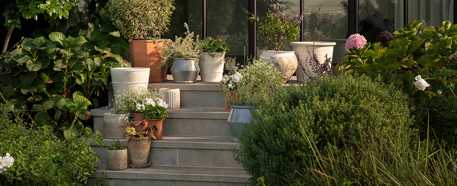 Outdoor Decor