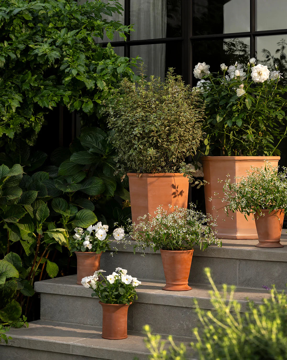 Planters & Pots