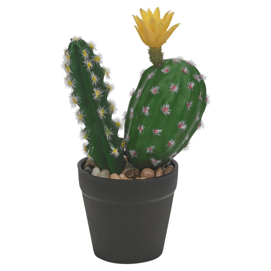 Artificial Cactus in Pot 25Cm Faux House Plant Fake Tropical Succulent Plants