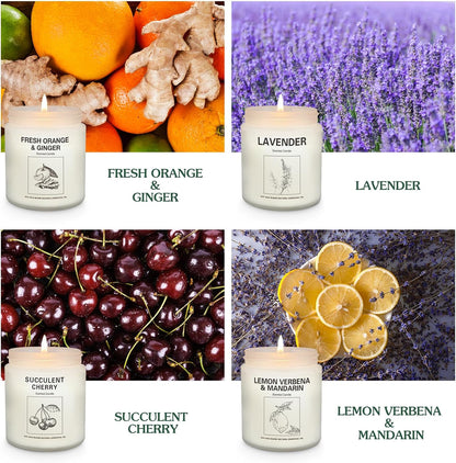 Candles | Candles for Home Scented | 2 Pack 7.1Oz Natural Soy Wax Aromatherapy Candles | over 120 Hours of Burn Time | Christmas Scented Candles Gifts Sets for Women | Apple Cinnamon Candles