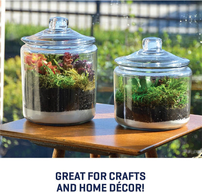 Heritage Hill 1 Gallon Glass Jar with Lid, Set of 2