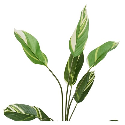 118Cm Artificial Green Plant in Pot Tall Fake Plastic Home Decor Faux Realistic