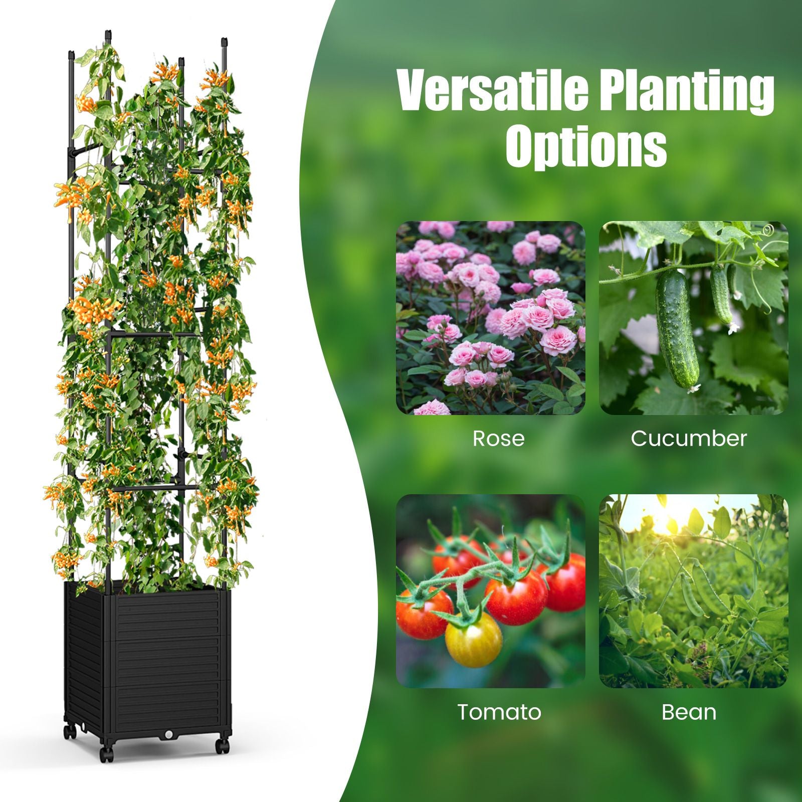 219 Cm Raised Garden Bed with Trellis and Wheels for Climbing Plants