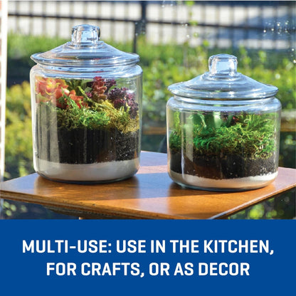 Heritage Hill 1 Gallon Glass Jar with Lid, Set of 2