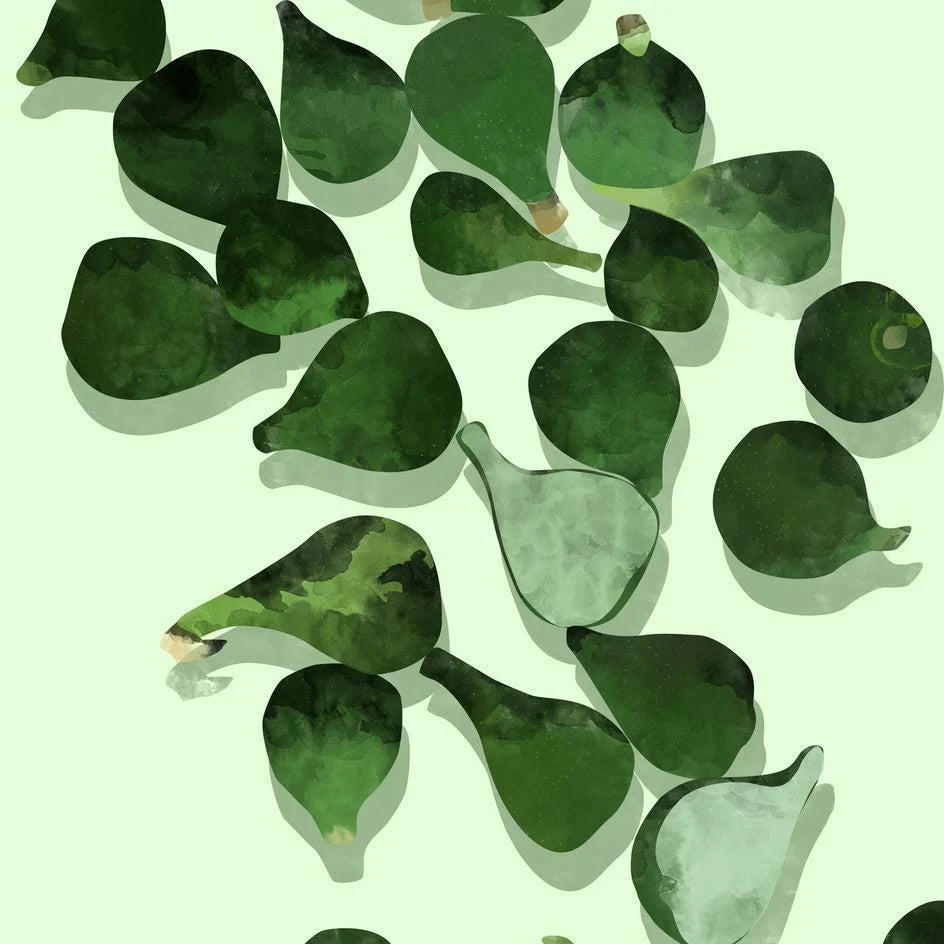 Watercolor Figs Cushion/Pillow